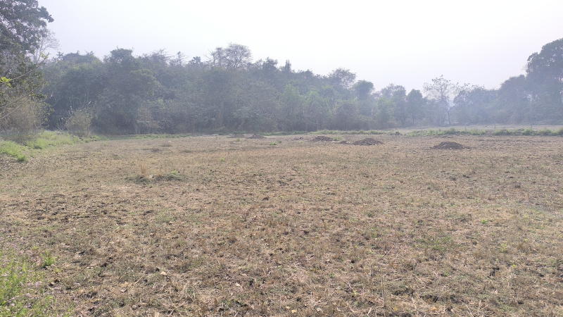  16000 Sq.ft. Residential Plot for Sale in Pen, Raigad