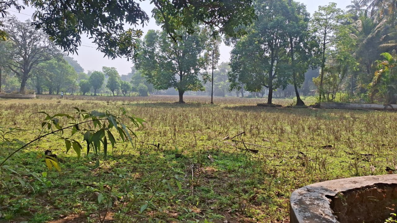  23000 Sq.ft. Residential Plot for Sale in Vindhane, Navi Mumbai