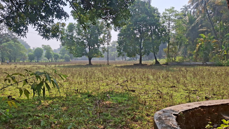  23000 Sq.ft. Residential Plot for Sale in Vindhane, Navi Mumbai