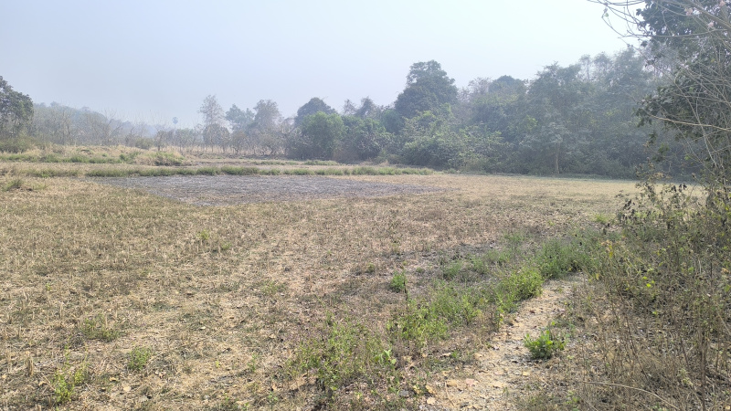  23000 Sq.ft. Residential Plot for Sale in Vindhane, Navi Mumbai