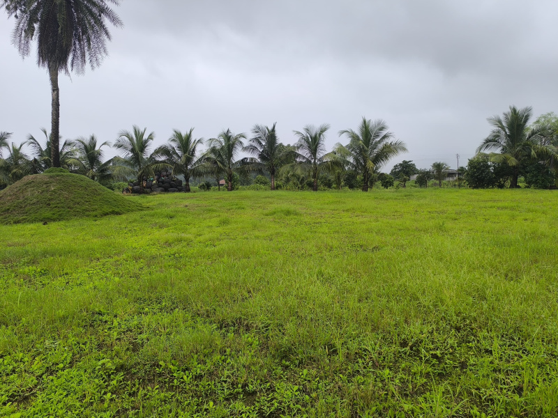  36 Guntha Residential Plot for Sale in Vindhane, Navi Mumbai