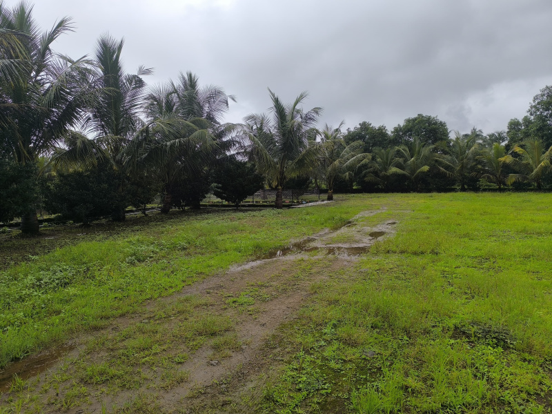  36 Guntha Residential Plot for Sale in Vindhane, Navi Mumbai