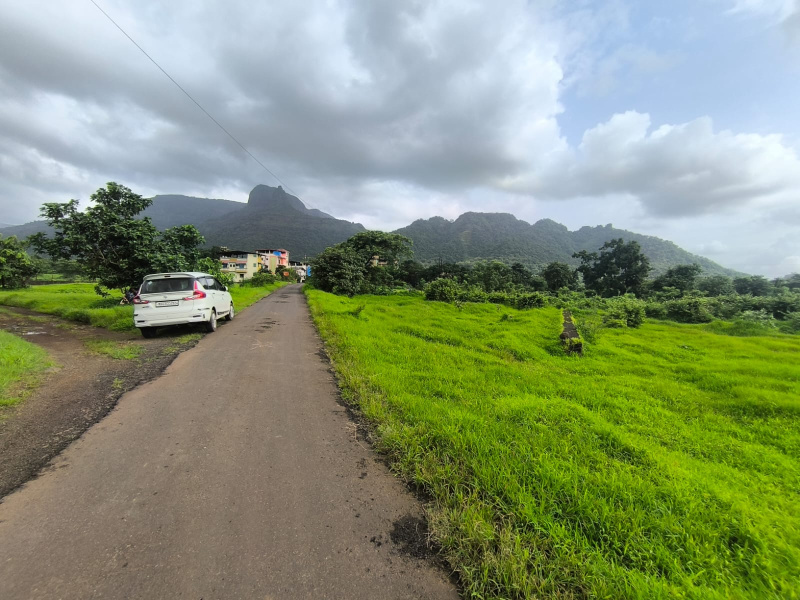 20 Guntha Residential Plot for Sale in Pali, Raigad
