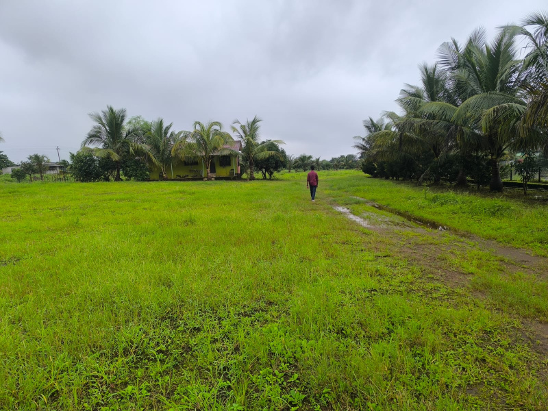  24 Guntha Residential Plot for Sale in Pen, Raigad