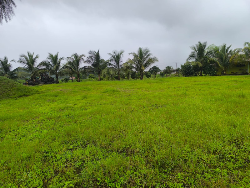  23 Guntha Residential Plot for Sale in Pen, Raigad