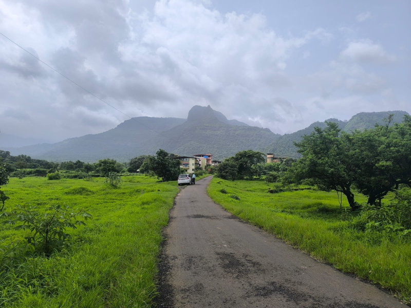  19990 Sq.ft. Residential Plot for Sale in Pali, Raigad