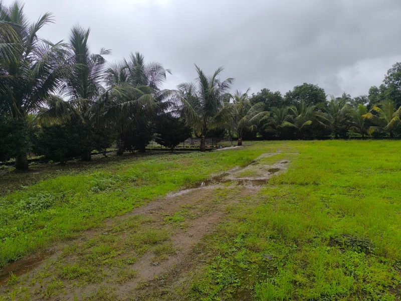  20009 Sq.ft. Residential Plot for Sale in Pali, Raigad