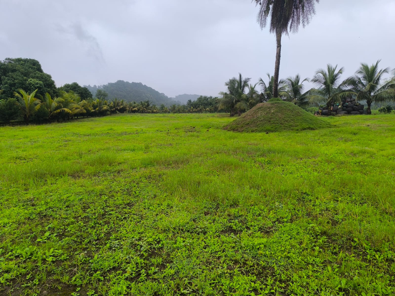  19 Guntha Residential Plot for Sale in Vindhane, Navi Mumbai