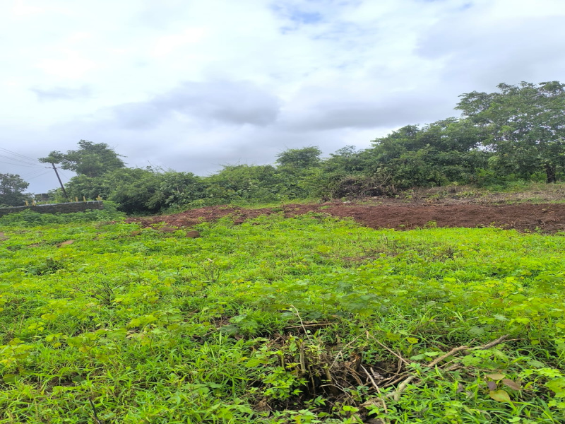  45 Guntha Residential Plot for Sale in Sarde, Raigad