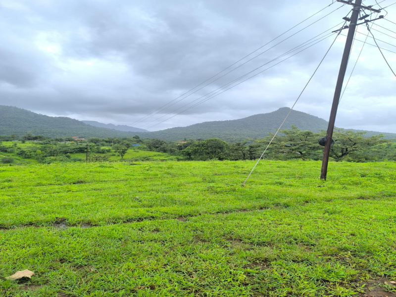  45 Guntha Residential Plot for Sale in Sarde, Raigad