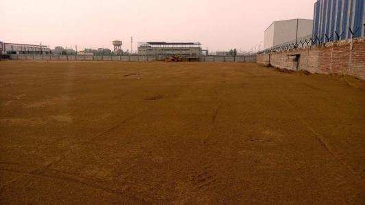 Agricultural Land 100 Bigha for Sale in