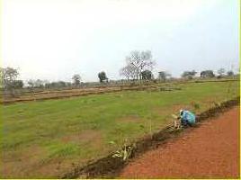  Residential Plot for Sale in Naya Raipur, Raipur