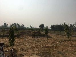  Residential Plot for Sale in Sector 12, Moradabad