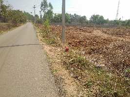  Agricultural Land for Rent in Electronic City, Bangalore