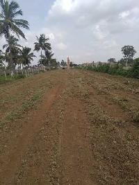  Commercial Land for Sale in Bagalur, Bangalore