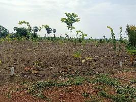  Agricultural Land for Sale in Gandepalli, East Godavari