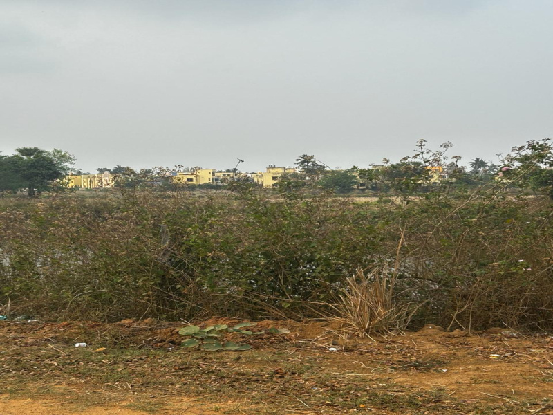  Residential Plot 1200 Sq.ft. for Sale in Pratapsasan, Khordha