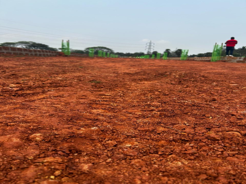  Residential Plot 10000 Sq.ft. for Sale in Pallahat, Khordha