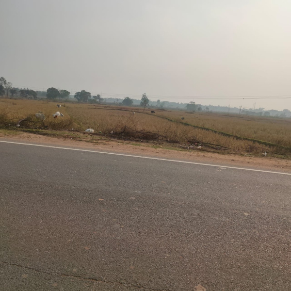  Residential Plot 2000 Sq.ft. for Sale in Info Valley, Bhubaneswar