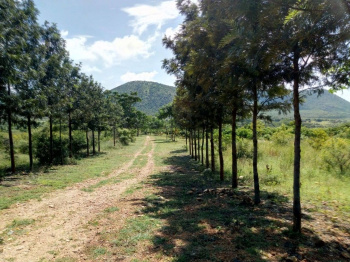  Agricultural Land for Sale in Kollegal, Chamrajnagar