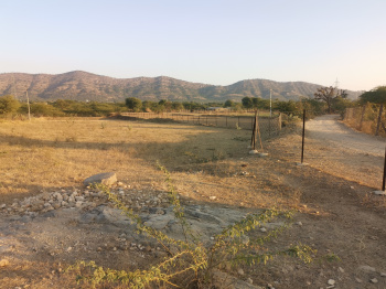 Agricultural Land for Sale in Nareli, Ajmer