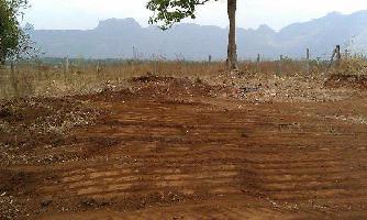  Agricultural Land for Sale in Sanarpatti, Dindigul
