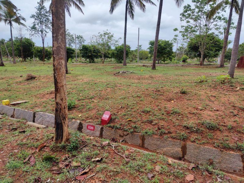  1200 Sq.ft. Residential Plot for Sale in Yelawala, Mysore