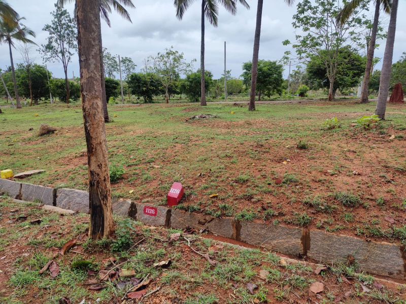  1200 Sq.ft. Residential Plot for Sale in Yelawala, Mysore