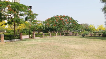  Residential Plot for Sale in Sector 49 Gurgaon