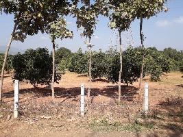  Agricultural Land for Sale in Rajanagaram, East Godavari