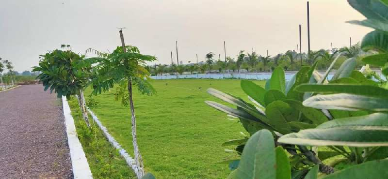  Residential Plot 1500 Sq.ft. for Sale in Abhanpur, Dhamtari Road, Raipur