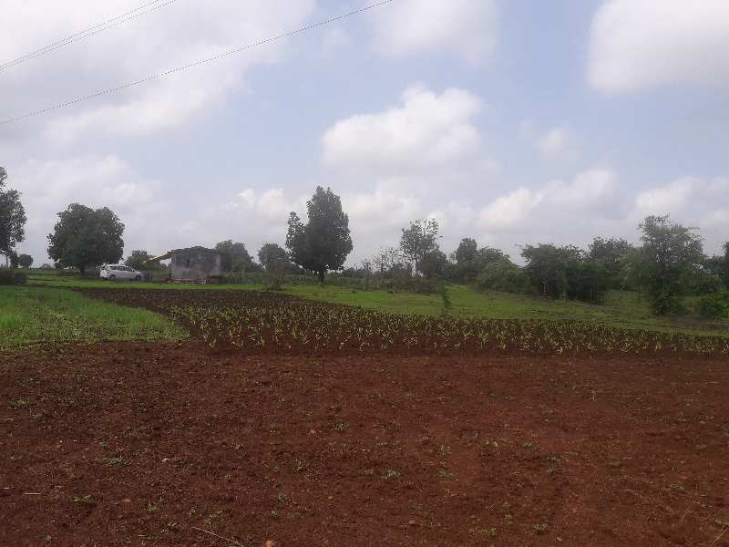 1 RK Farm House 300 Sq.ft. for Sale in