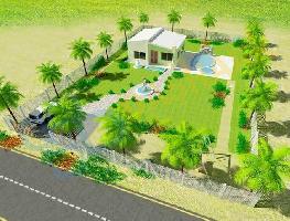  Residential Plot for Sale in Triveni Colony, Indore