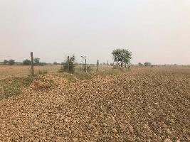  Agricultural Land for Sale in Chaksu, Jaipur