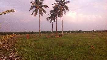  Agricultural Land for Sale in Radhapuram, Tirunelveli