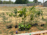 Residential Plot for Sale in Ratu, Ranchi