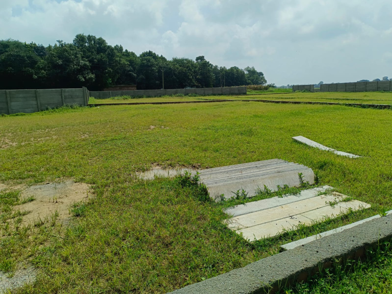  Residential Plot 4 Dismil for Sale in Ratu, Ranchi