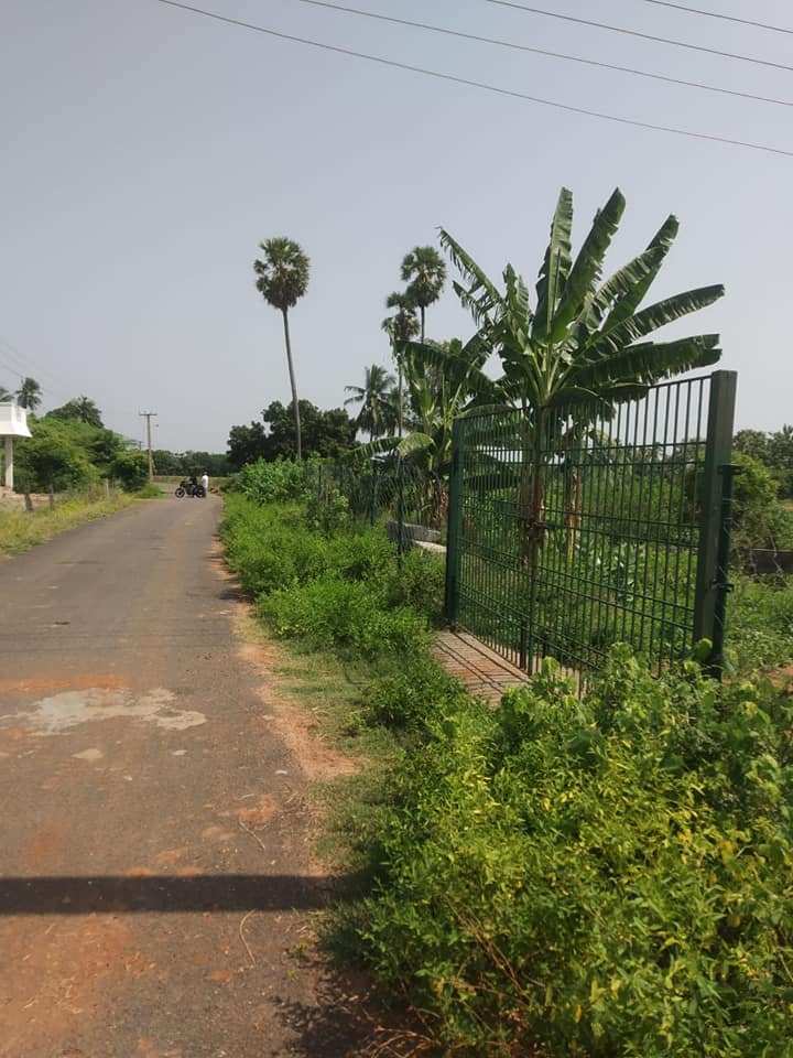 Agricultural Land 40 Cent for Sale in Silvarpatti, Dindigul