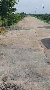  Residential Plot for Sale in Tappal, Aligarh