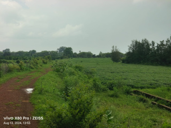  Agricultural Land for Sale in Kurwai, Vidisha