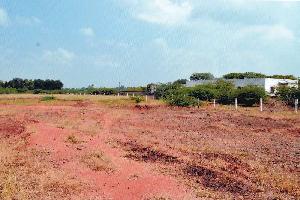  Industrial Land for Sale in Seydunganallur, Tirunelveli