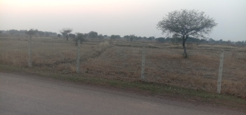  Agricultural Land for Sale in Bhatpara, Raipur