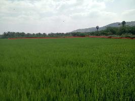  Agricultural Land for Sale in Melakottai, Madurai