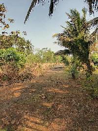  Residential Plot for Sale in Alibag, Raigad