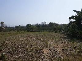  Residential Plot for Sale in Alibag, Raigad