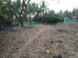  Residential Plot for Sale in Alibag, Raigad