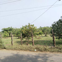  Residential Plot for Sale in Mandwa, Alibag, Raigad