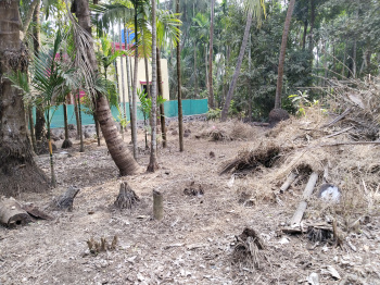  Residential Plot for Sale in Revdanda, Alibag, Raigad