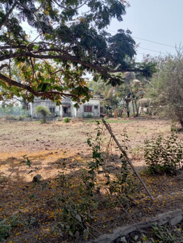  Residential Plot for Sale in Kihim, Raigad