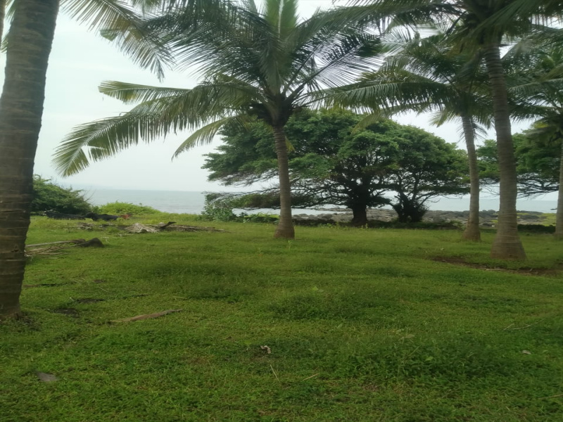  Residential Plot 46 Acre for Sale in Murud, Raigad